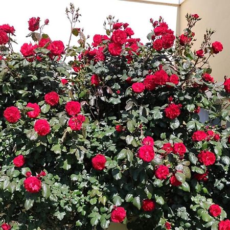 Mil Rosas Las Grutas Exterior foto